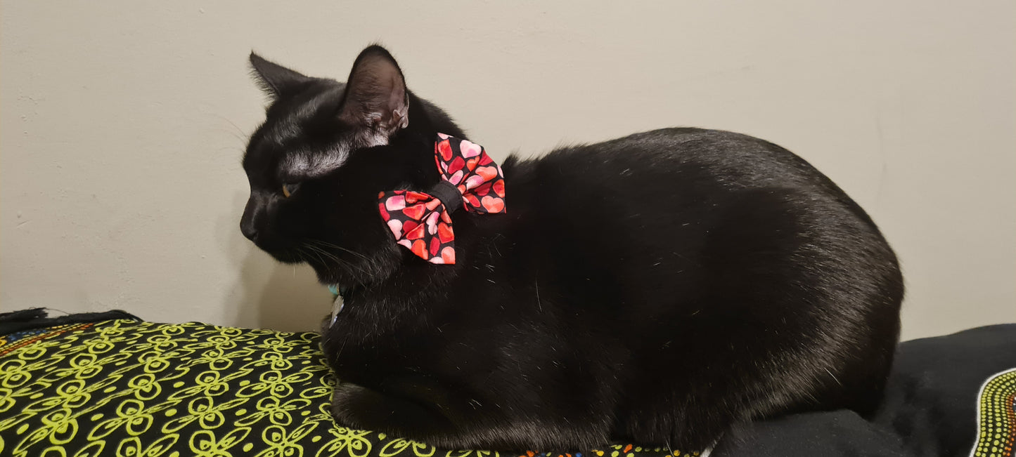 Red and Pink Love Heart Valentines Dog Bow Tie and Sailor Bow