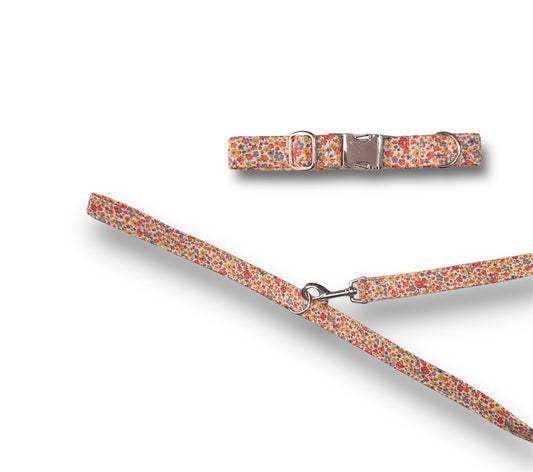 Orange Ditsy Dog collar/lead