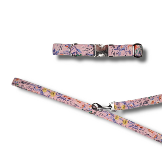 Floral Lead and Collar, pink or blue