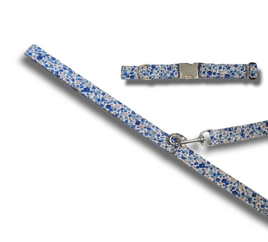 Blue Ditsy Dog collar/lead