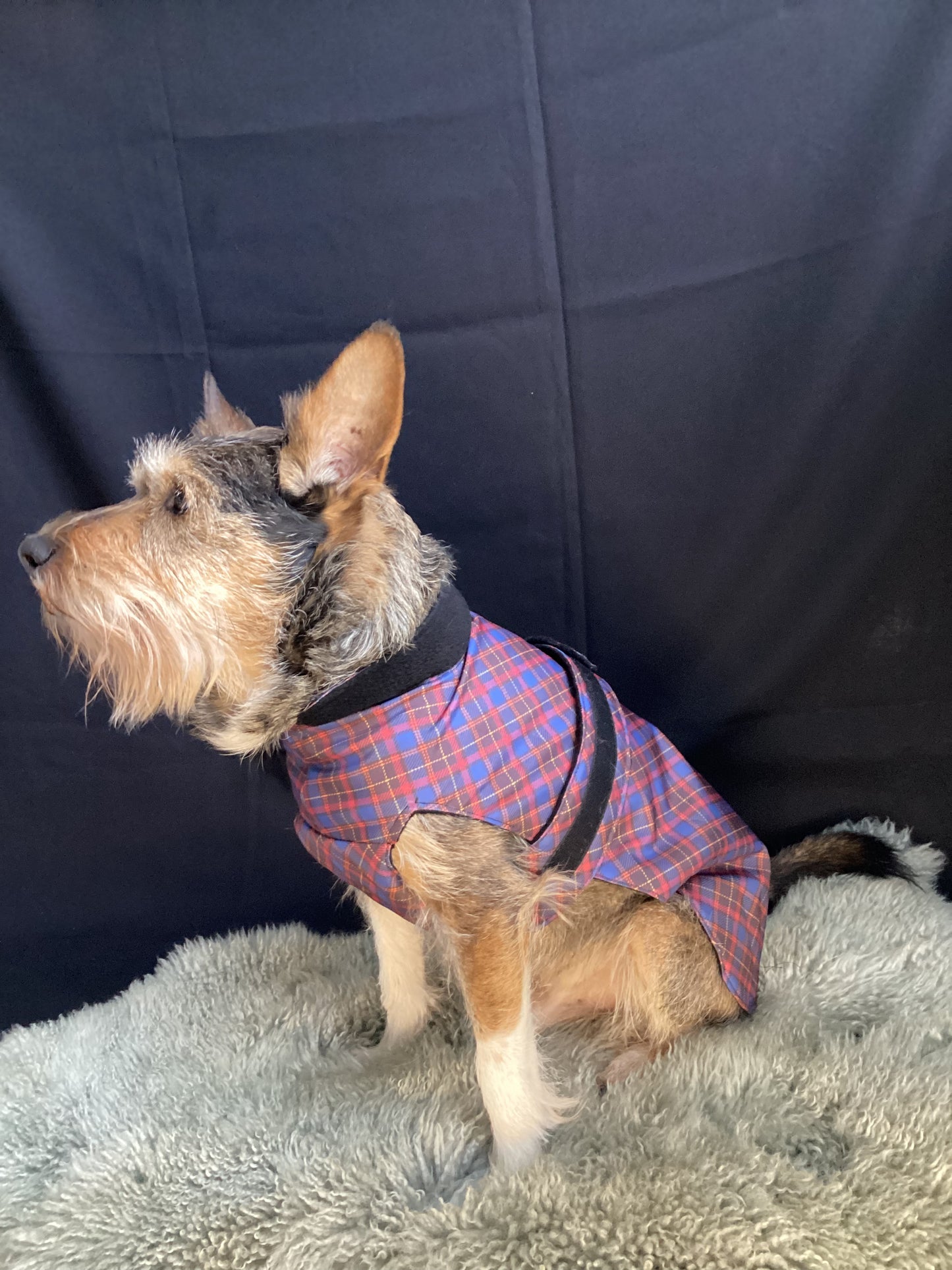 Rainbow clouds waterproof jacket with chest protection